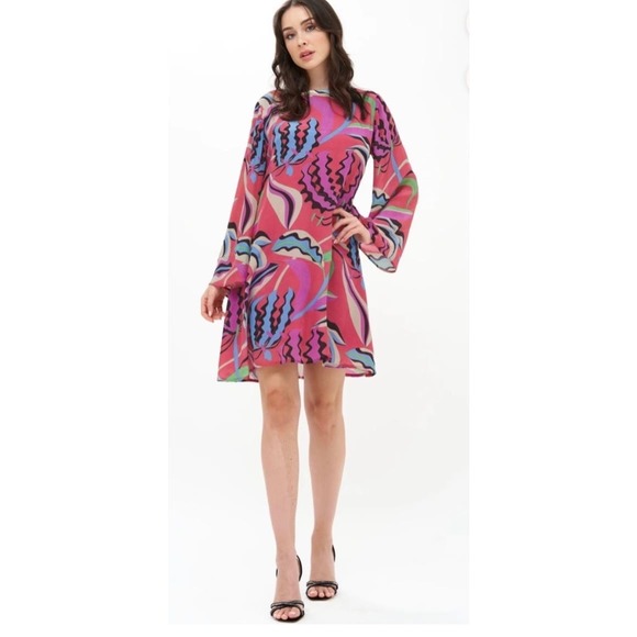 NWT Oliphant Fergana Rhubarb Long Sleeve Mini Shift Dress Sz. Medium - Picture 1 of 14